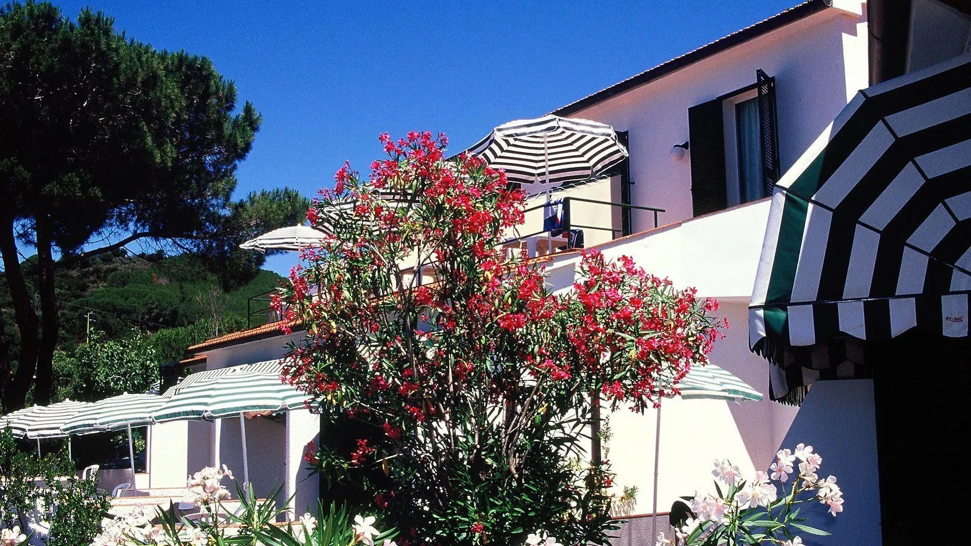 Hotel Paradiso Portoferraio
